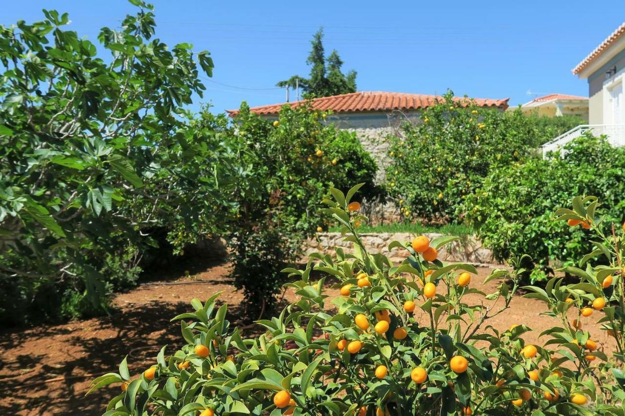 Aeolos A Family Paradise Few Steps From The Beach Kouverta Екстериор снимка